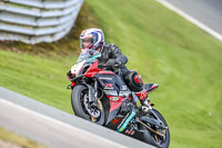 Oulton-Park-21st-March-2020;PJ-Motorsport-Photography-2020;anglesey;brands-hatch;cadwell-park;croft;donington-park;enduro-digital-images;event-digital-images;eventdigitalimages;mallory;no-limits;oulton-park;peter-wileman-photography;racing-digital-images;silverstone;snetterton;trackday-digital-images;trackday-photos;vmcc-banbury-run;welsh-2-day-enduro